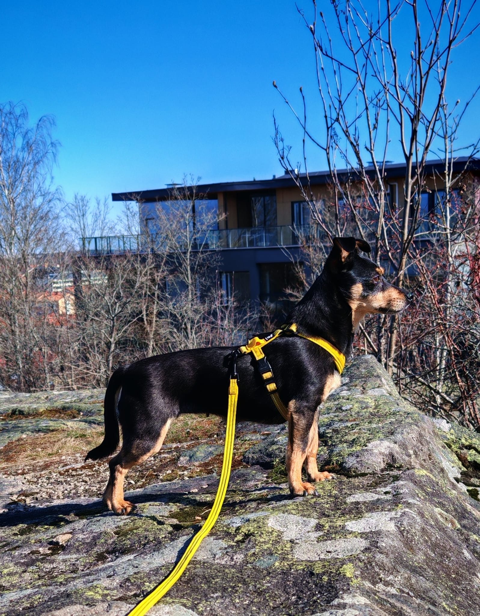 Luna (Suomessa)