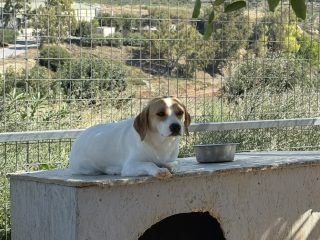 IMG_8656
