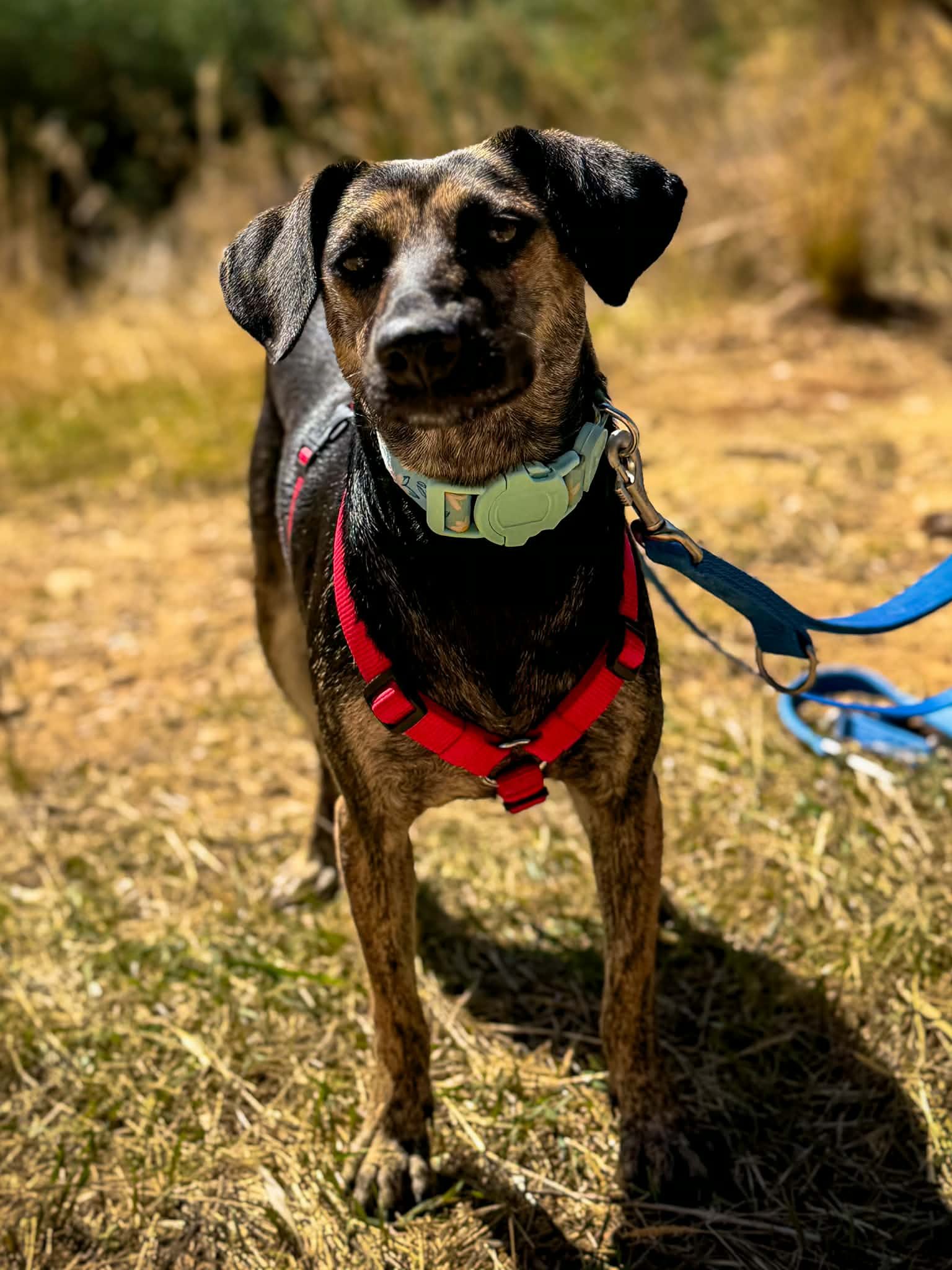Hera (2)