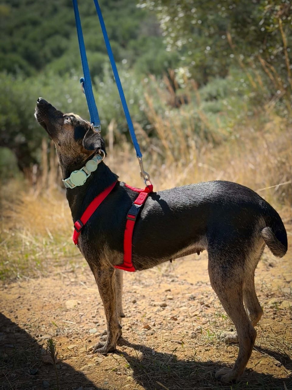 Hera (2)